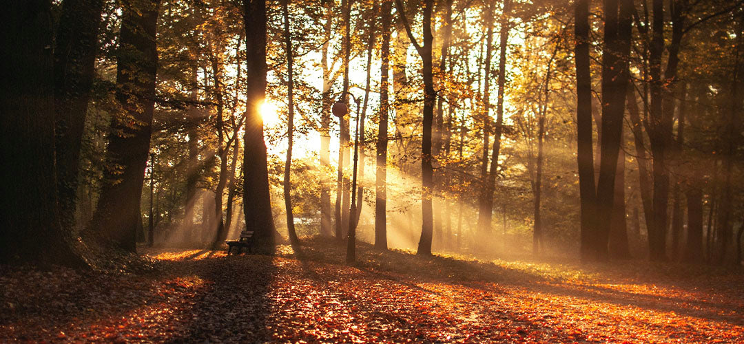 Herbst – Die Jahreszeit oft trockener und müder Augen