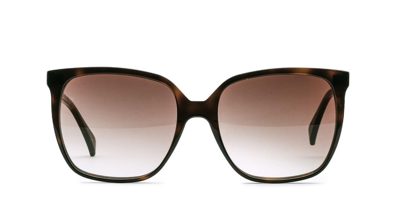 Ross & Brown Casablanca 4-Brille-Ross & Brown-55-18-195 - Night Tortoise Gradient Brown-Schönhelden