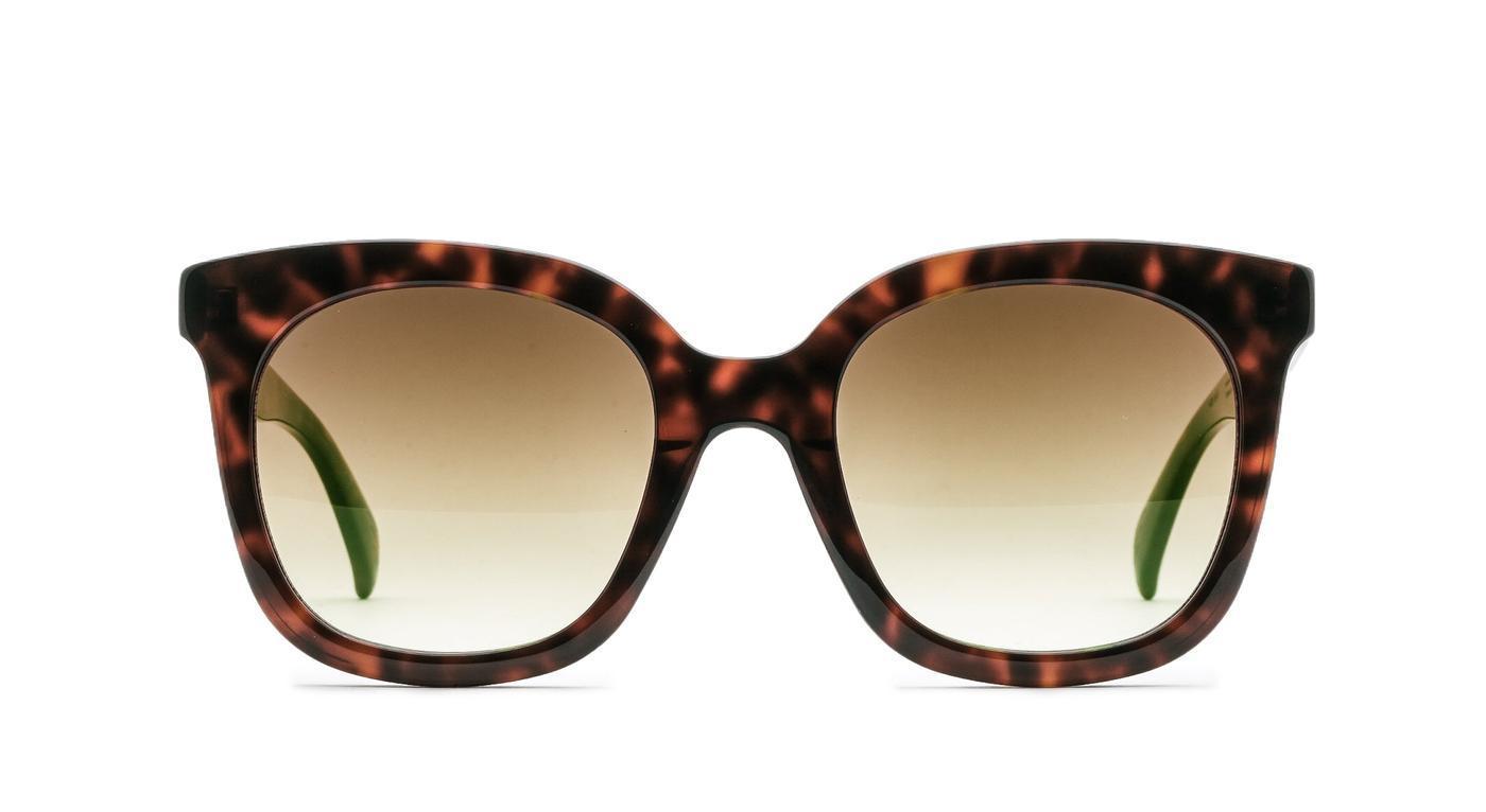 Ross & Brown LONDON 5-Brille-Ross & Brown-195 - night tortoise-52-22-Schönhelden