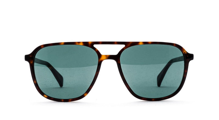 Ross & Brown Los Angeles 2-Brille-Ross & Brown-195 - Night Tortoise-56-17-Schönhelden